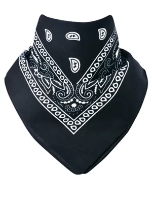 Produktbild von Bandana Paisley Schwarz