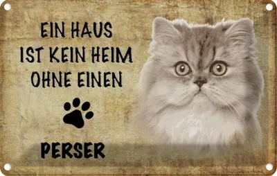 Produktbild von vianmo Blechschild 20x30 cm Perser Katze ohne kein Heim Tier Haustier