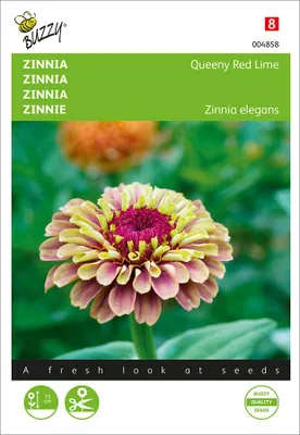 Productafbeelding van Zaden zinnia queeny red lime 25 zaden Buzzy