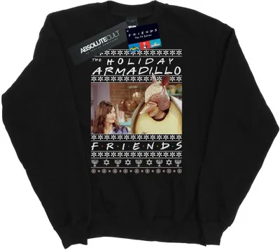 Produktbild von Friends - "Holiday Armadillo" Sweatshirt für Herren BI24131 (XL) (Schwarz)
