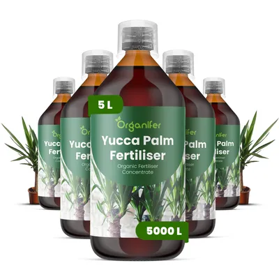 Produktbild von Flüssigdünger Für Yucca-Palmen 5x1L – 2-1-8 NPK – Flüssig-Pflanzendünger Für Yucca-Palmen – Organifer