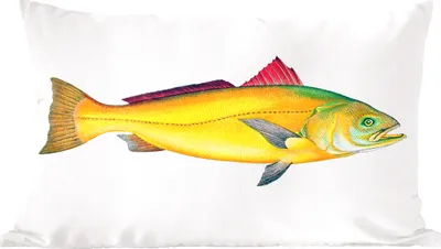 Produktbild von MuchoWow® Zierkissen Sofakissen Wohnzimmer Dekokissen 50x30 cm Fisch - Gold - Barsch - Wohnzimmerdekoration - Polster mit Photo