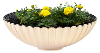 Produktbild von Dekoschale runde Pflanzschale für draussen champagner gold 22 cm