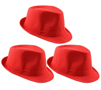Produktbild von 3x Panamahut für Damen & Herren - Rot
