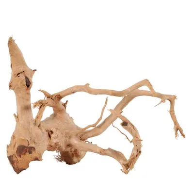 Immagine prodotto di Decorazione dell'acquario radice di ragno 10-30cm Zolux
