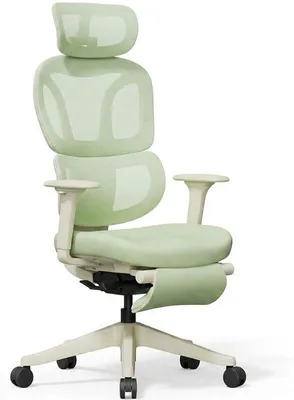 Image de Chaise de bureau ergonomique BS5LG-M2, avec repose-pieds, verte