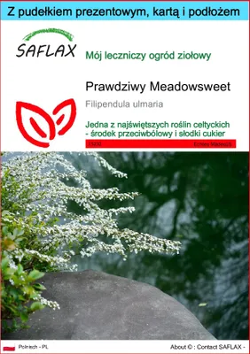 Zdjęcie produktu dla SAFLAX - Zestaw prezentowy - Prawdziwy Meadowsweet - 500 Nasiona - Z pudełkiem upominkowym, etykietą wysyłkową, kartą podarunkową i podłożem uprawowym - Filipendula ulmaria