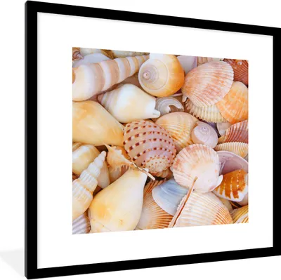 Produktbild von MuchoWow® Gerahmtes Poster Muscheln - Strand - Sommer - Orange 40x40 cm - Poster mit Schwarzem Bilderrahmen Wandposter Rahmen Foto Bilder - Poster - Plakat im Rahmen