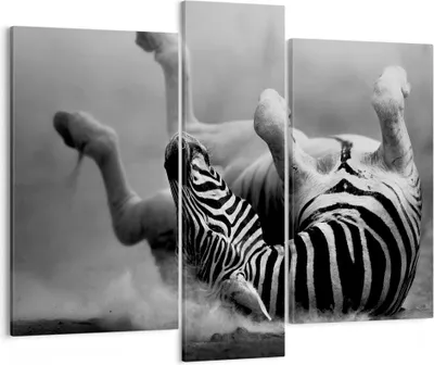 Produktbild von Bild auf Leinwand - Leinwandbild - Zebra Streifen Tier wild - 95x80cm - Wand Bild - Wanddeko - Leinwanddruck - Bilder - Kunstdruck - Wanddekoration - Leinwand bilder - Wandkunst - CB95x80-2699