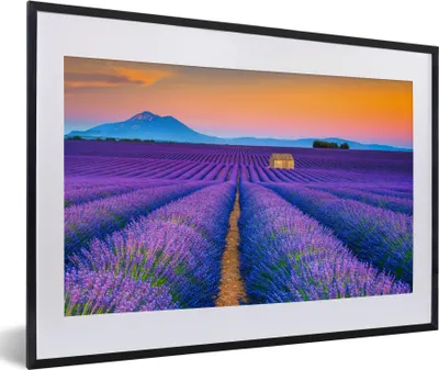 Produktbild von MuchoWow® Gerahmtes Poster Lavendel - Lila - Blumen 60x40 cm - Poster mit Schwarzem Bilderrahmen Wandposter Rahmen Foto Bilder - Schlafzimmer - Plakat in Rahmen - Drucken