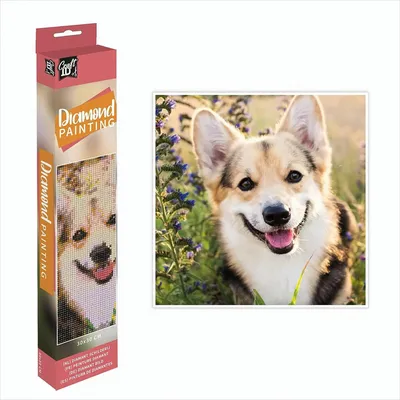 Produktbild von PROM Malba s diamanty 30x30cm Dog Grafix