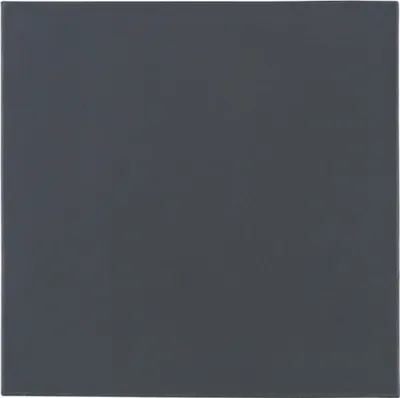 Immagine prodotto di Thermal Grizzly TG-MP-P-100-100-15 Pad termico grigio