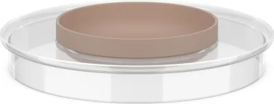 Obrázek produktu pro MEPAL 102308531500 MEPAL Deckel für Schüssel Chef It transparent, 1 St.