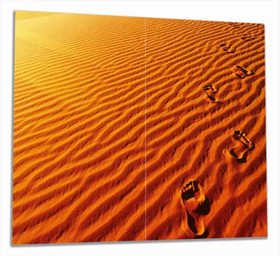 Produktbild von Wallario Herdabdeckplatte aus Glas, Größe 60 x 52 cm 2-teilig, Motiv Fußspuren im Sand - Sanddüne in der Wüste