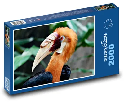 Zdjęcie produktu dla Puzzle 2000 Dzioborożec w tropikalnym lesie - martinpuzzle