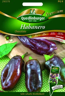 Produktbild von Quedlinburger Saatgut - Habanero Chocolate - Samen - 290378
