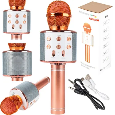 Obrázok produktu pre Malplay strieborná karaoke hudobná hračka s bezdrôtovým Bluetooth mikrofónom a 2 reproduktormi, kompatibilná so smartfónmi, tabletmi a Smart TV