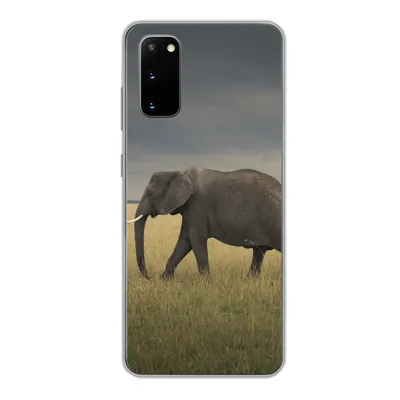Produktbild von MuchoWow® Handyhülle Schutzhülle Hülle für Samsung Galaxy S20 Elefant - Savanne - Tiere - Natur Silikon Softcase Handy Hülle - Bild