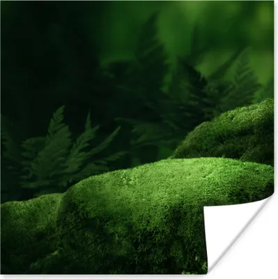 Produktbild von MuchoWow® Poster Moos - Stein - Wald 50x50 cm - Wohnzimmerdekoration