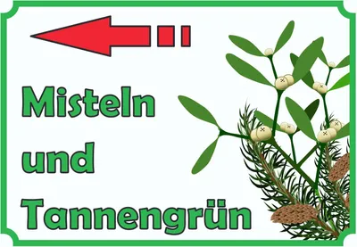 Produktbild von Misteln und Tannengrün Verkaufsschild  Pfeil links Hofladen Verkaufsförderung A0 Rückseite selbstklebend