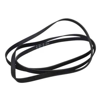 A black serpentine belt is shown against a white background.