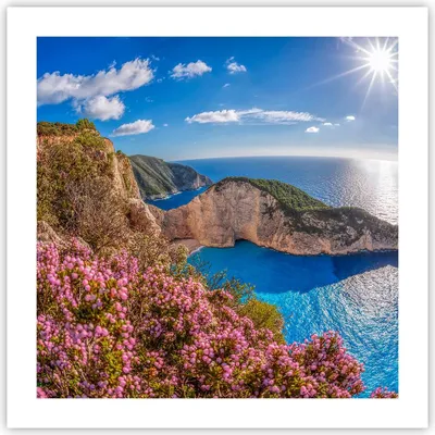 Produktbild von Poster - Poster ohne Rahmen - Meer Sommer Blume - 50x50 cm - Wand Bild - Wanddeko - Wandbilder - Kunstposter - Wandposter - Bilder - Kunstdruck - Wanddekoration - Wandbild - P2XAC50x50-3741