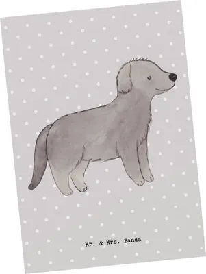 Produktbild von Mr. & Mrs. Panda Postkarte Neufundländer Lebensretter - Grau Pastell - Geschenk, Ansichtskarten, Ansichtskarte, Postkarten, bildkarte, Fotokarte, Newfoundland