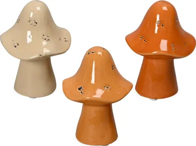 Image de Set de champignons d'automne, en Ø 7 x 10 cm, en orange