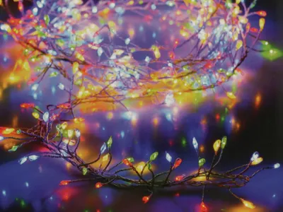 Produktbild von LED-Büschellichterkette Silberdraht, 100 LEDs, bunt, Batteriebetrieb