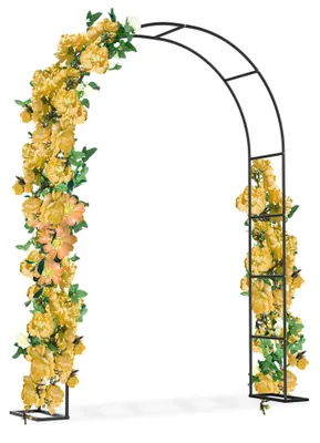 Image de Elzusha - Arche de roses en métal pour jardin et mariages, noire, résistante aux intempéries