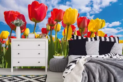 Produktbild von Vlies Fototapete TULPENFELD IM FRÜHLING 375 x 250 cm (inkl. Kleister) - Vlies Tapete, Wandtapete, Wandbilder - Tapete für Wohnzimmer Schlafzimmer, Büro, Küche - Montagefertig