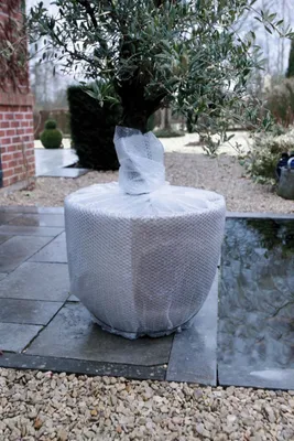 Produktbild von Winterknospenfolie 100 x 300 cm