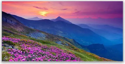 Produktbild von Tulup Leinwand-Bilder 140x70 Wandbild Canvas Kunstdruck Gebirge Wiese Blume Landschaft