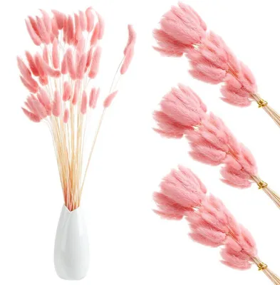 Zdjęcie produktu dla Suszone kwiaty, piórkówka (Lagurus), 180 sztuk, różowe, 43 cm