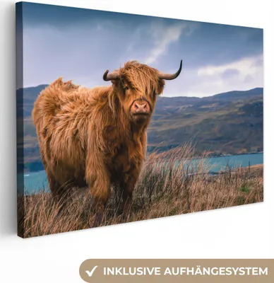Produktbild von MuchoWow® - Leinwandbilder - Schottische Highlander - Himmel - Natur, Wandbild, Wanddeko Bilder Wohnzimmer, 120x80 cm