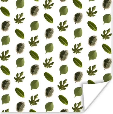 Produktbild von MuchoWow® Poster Natur - Blätter - Muster 50x50 cm - Wohnzimmerdekoration