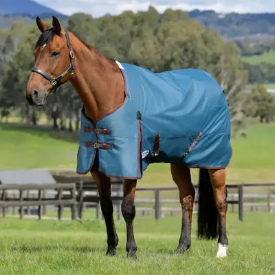 Image de Weatherbeeta Comfitec Classic Standard Medium 220g couverture de pré - Taille 135