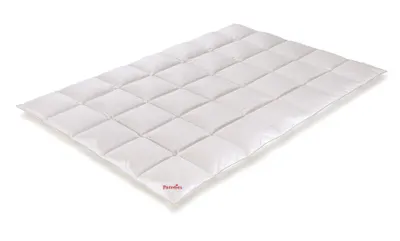 Produktbild von Paradies Daunendecke 155x220 cm Übergangsdecke "Galia 90" RDS Gänsedaunen 100% Baumwolle