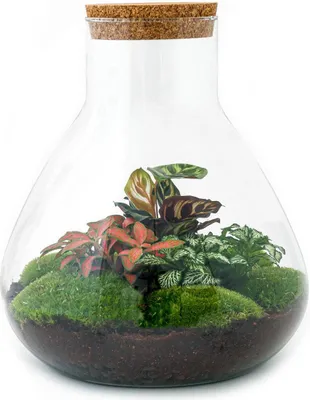 Immagine prodotto di Urbanjngl bottiglia da giardino Sam XL rosso - 35 cm