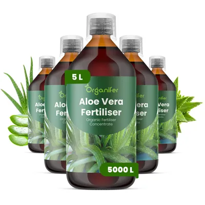 Produktbild von Aloe Vera Flüssigdünger 5x1L – 2-1-8 NPK – Flüssigdünger Für Sukkulenten – Für Starke Blätter & Gesunde Pflanzen – Organifer