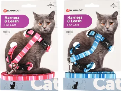 Image de Flamingo harnais pour chats avec laisse Alfry
