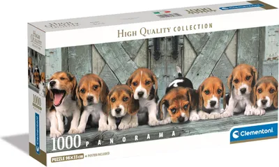 Image de CLEMENTONI - Puzzle Panorama Beagle 1000 elementów, Wysoka Jakość, Edukacyjna Gra
