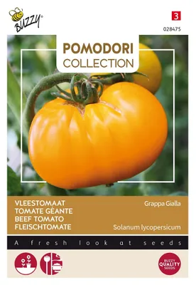 Image de Buzzy Pomodori Tomate charnue Grappa Gialla Graines - Environ 1,5 gr | Buzzy_028475