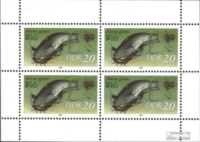 Produktbild von Briefmarken DDR 1987 Mi 3097I Kleinbogen gestempelt Süßwasserfische