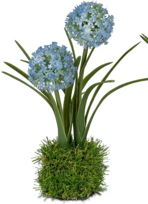 Produktbild von Tischdeko Allium blau auf Grassockel H. 24cm Formano Kunstblumen F25