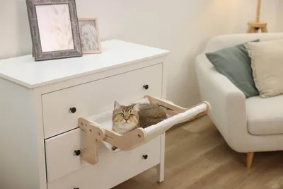 Zdjęcie produktu dla Kerbl Nap, Hammock pet bed, Wewnętrzna, Kot, Biały, Prostokątny, Poliester