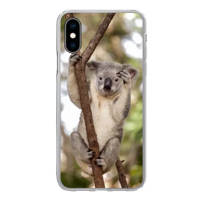 Produktbild von MuchoWow® Handyhülle Schutzhülle Hülle für iPhone X Koala - Äste - Tier - Kinder - Jungen - Mädchen Silikon Softcase Handy Hülle - Handyhülle