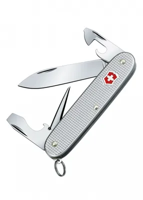 Immagine prodotto di Victorinox Pioneer Alox 93 mm argento