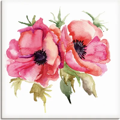 Produktbild von ARTland Leinwandbild Mohnblumen Größe: 50x50 cm