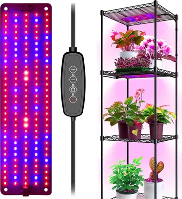 Image de lampe pour plantes 150 LED spectre complet Lumière pour plantes Dimmable avec minuterie Plantes d'intérieur Lumière de croissance Lampe de croissance